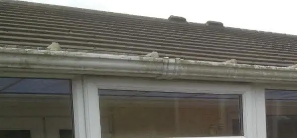 upvc fascia and gutter cleaning bolton